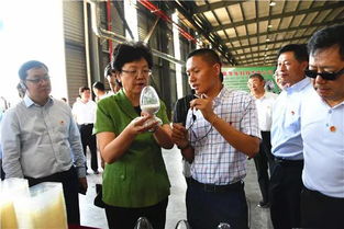 全国政协副主席李斌到南乐县开展 加大白色污染防治力度 专题调研