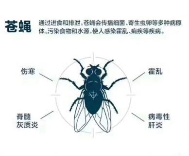 西宁《绿盾有害生物防治除虫除蚁》